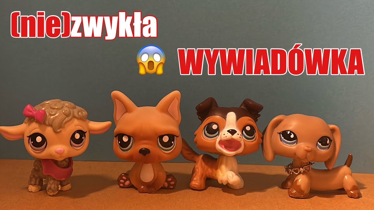 LPS: (nie)zwykła WYWIAD&Oacute;WKA🤬🔥