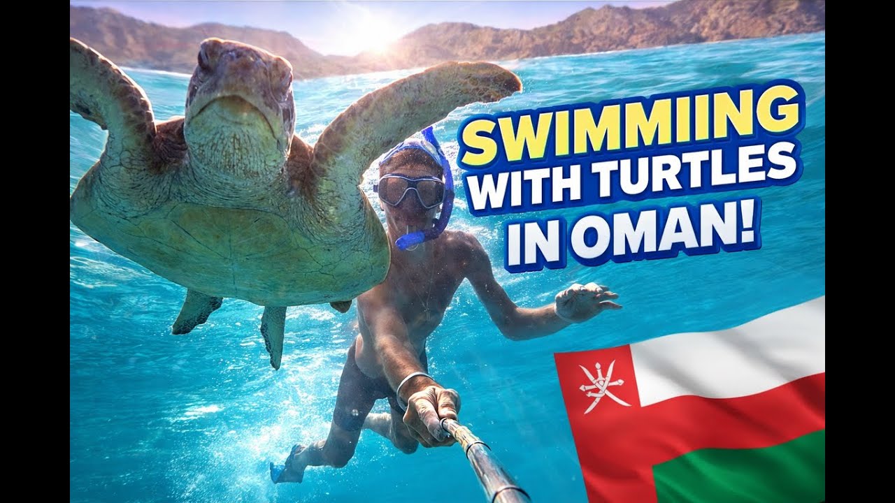 Diving with turtles in Oman