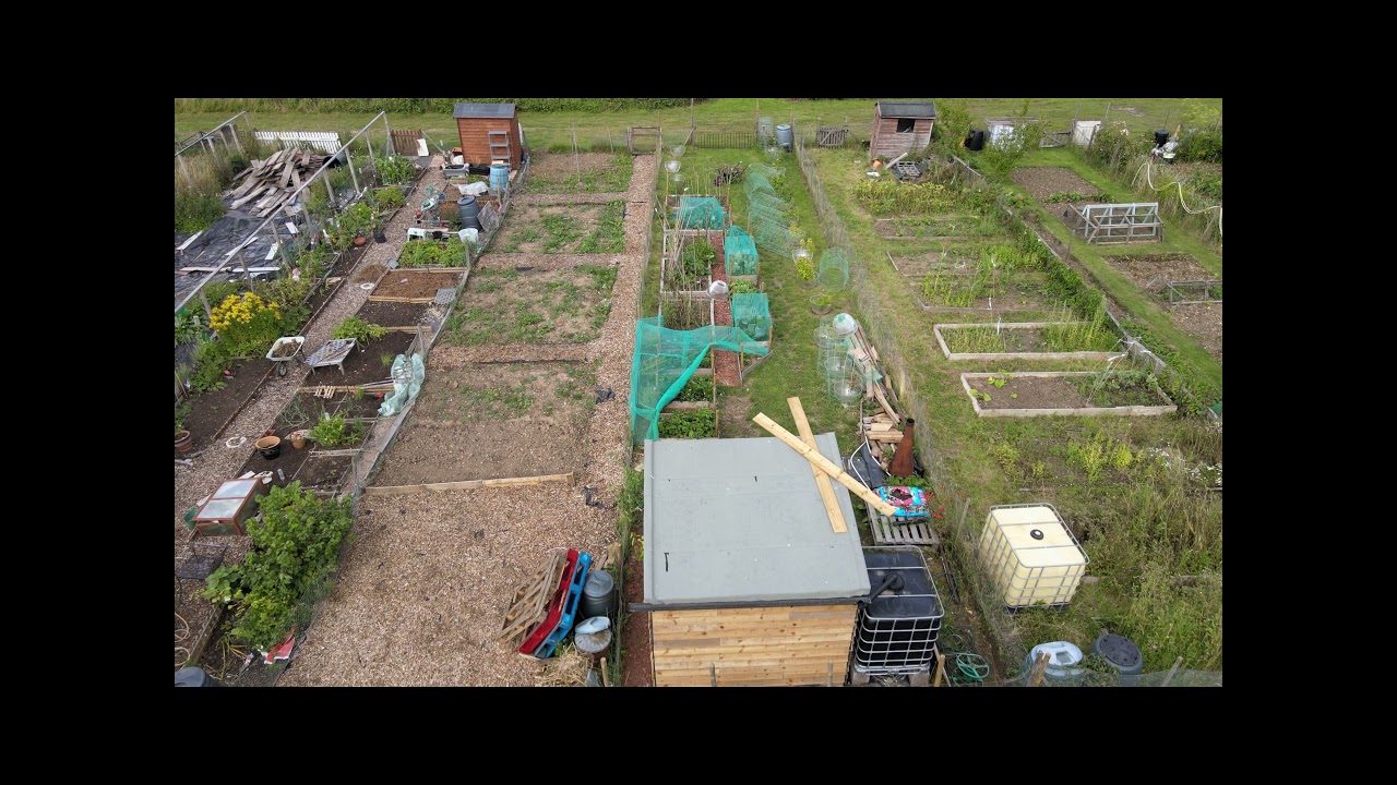 Stoney Flint Allotments - Kelvedon -  August 2021