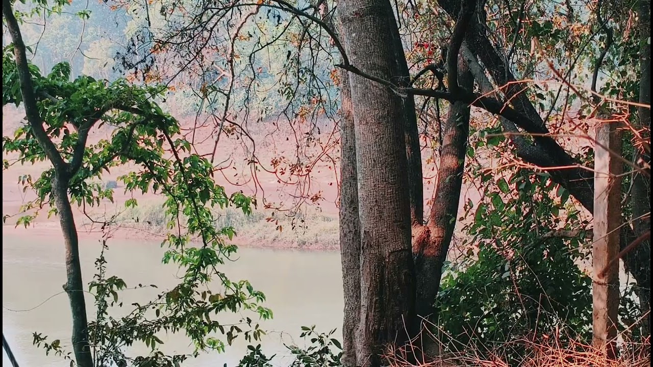 Meditation For Relaxation And Inner Peace