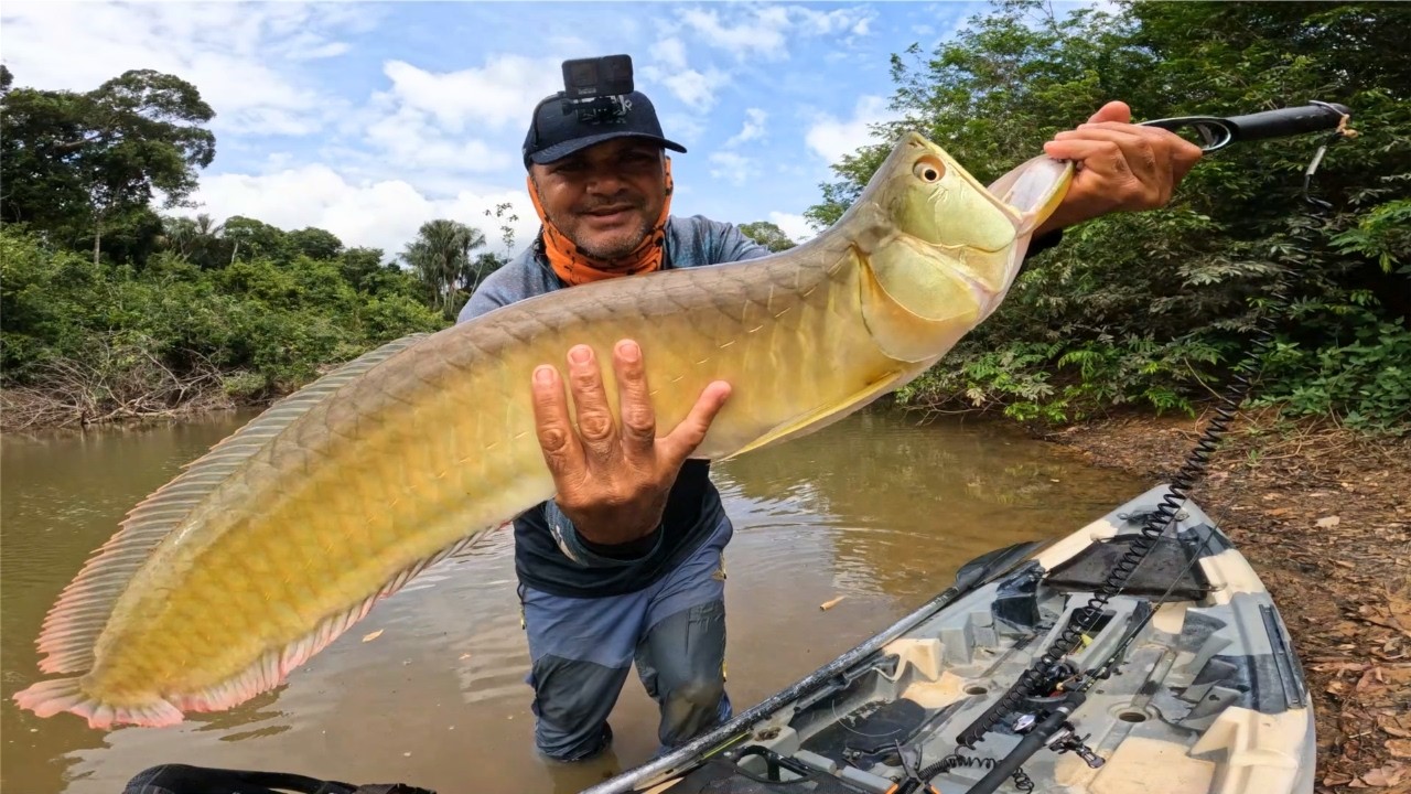 Não Tenho Como Descrever a Emoção