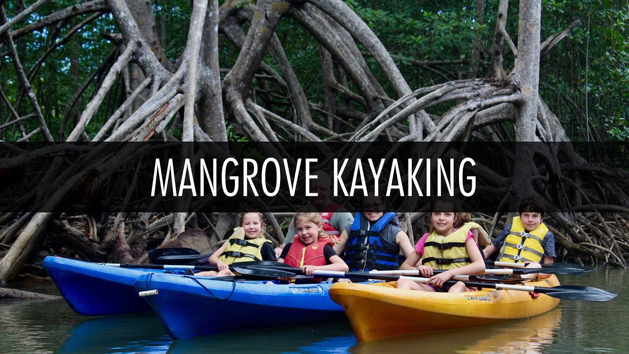 Costa Rica - Mangrove Kayak tour