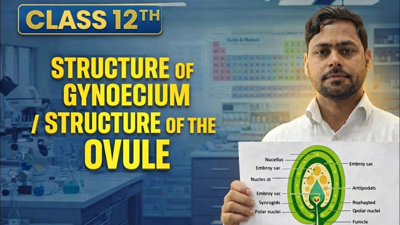 Structure of Gynoecium | Biology | Class 12 | Drona Batch 2.0 | Navin Pandey 