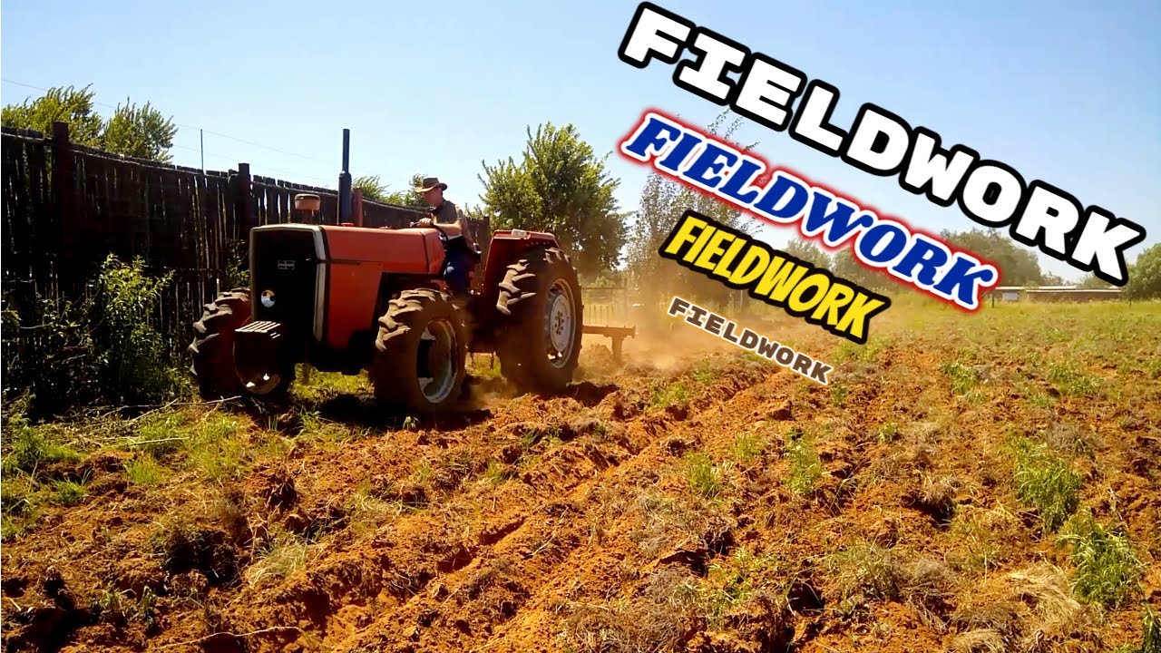 Doing fieldwork with the Massey Ferguson 275 |Vlog19