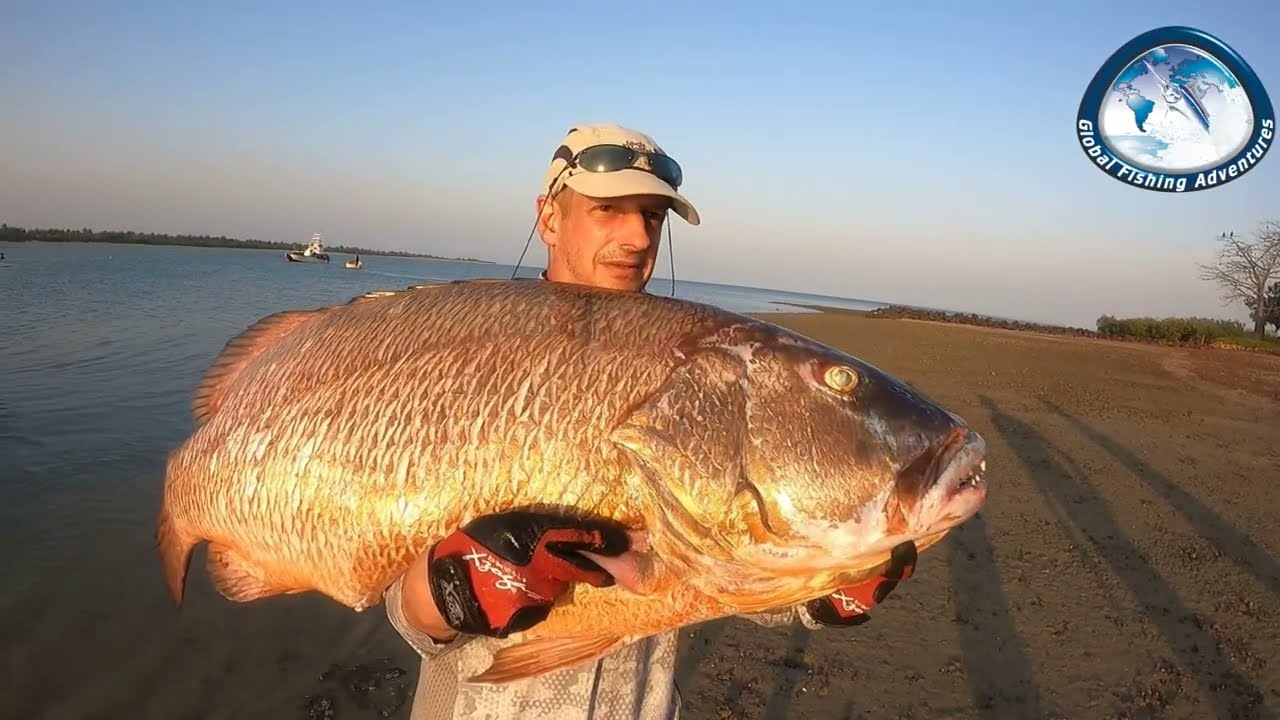 Sportfishing Acunda  Bijagos  -- Guinea Bissau 🐟 gutes Angeln in Afrika