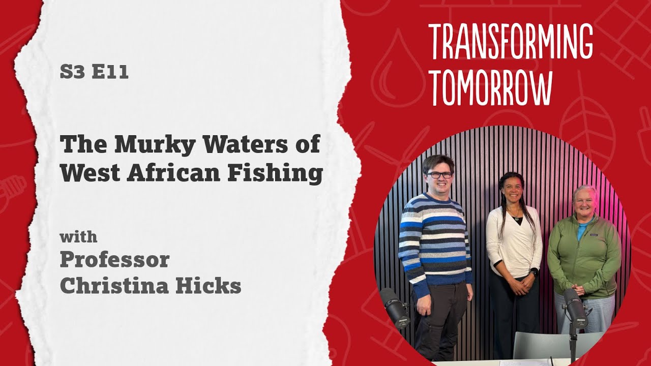 The Murky Waters of West African Fishing