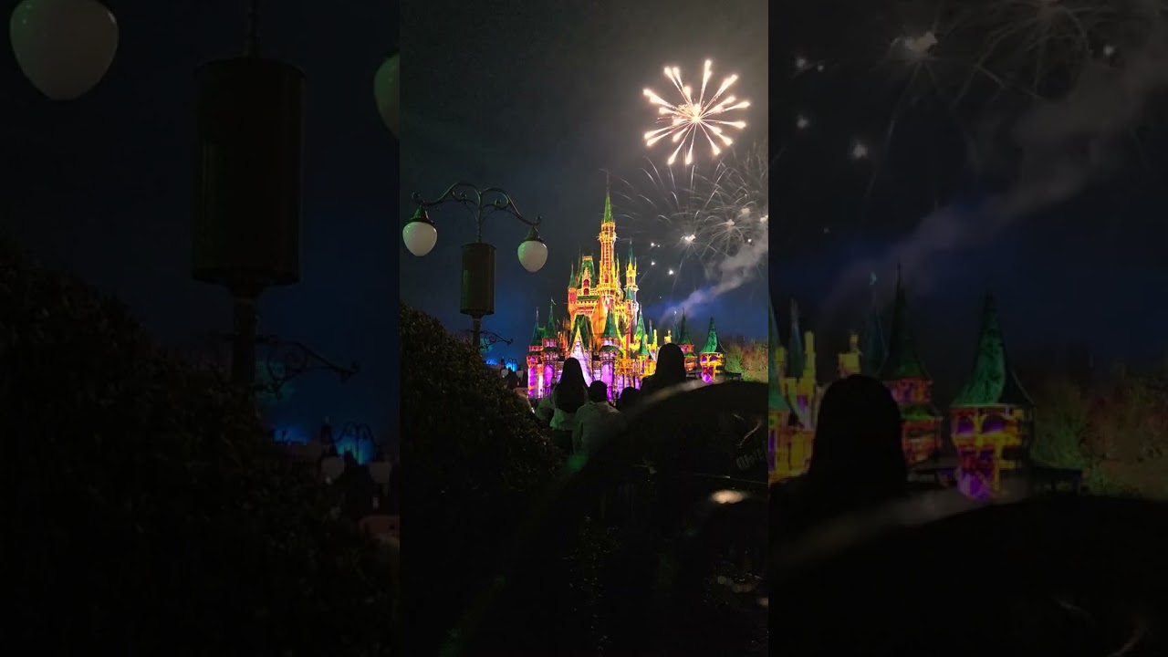 Fireworks at Magic Kingdom 2/25/26 on our honeymoon 