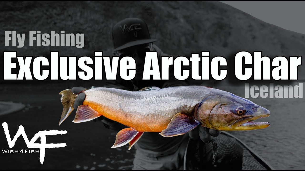 W4F - Fly Fishing Iceland 
