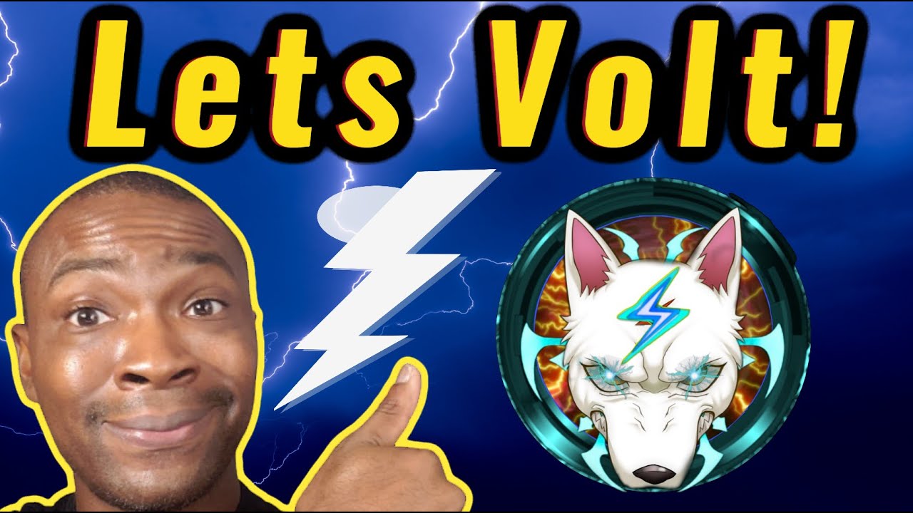Volt Inu Success Is Simply Amazing - Let's Volt Baby || Adam Shelton