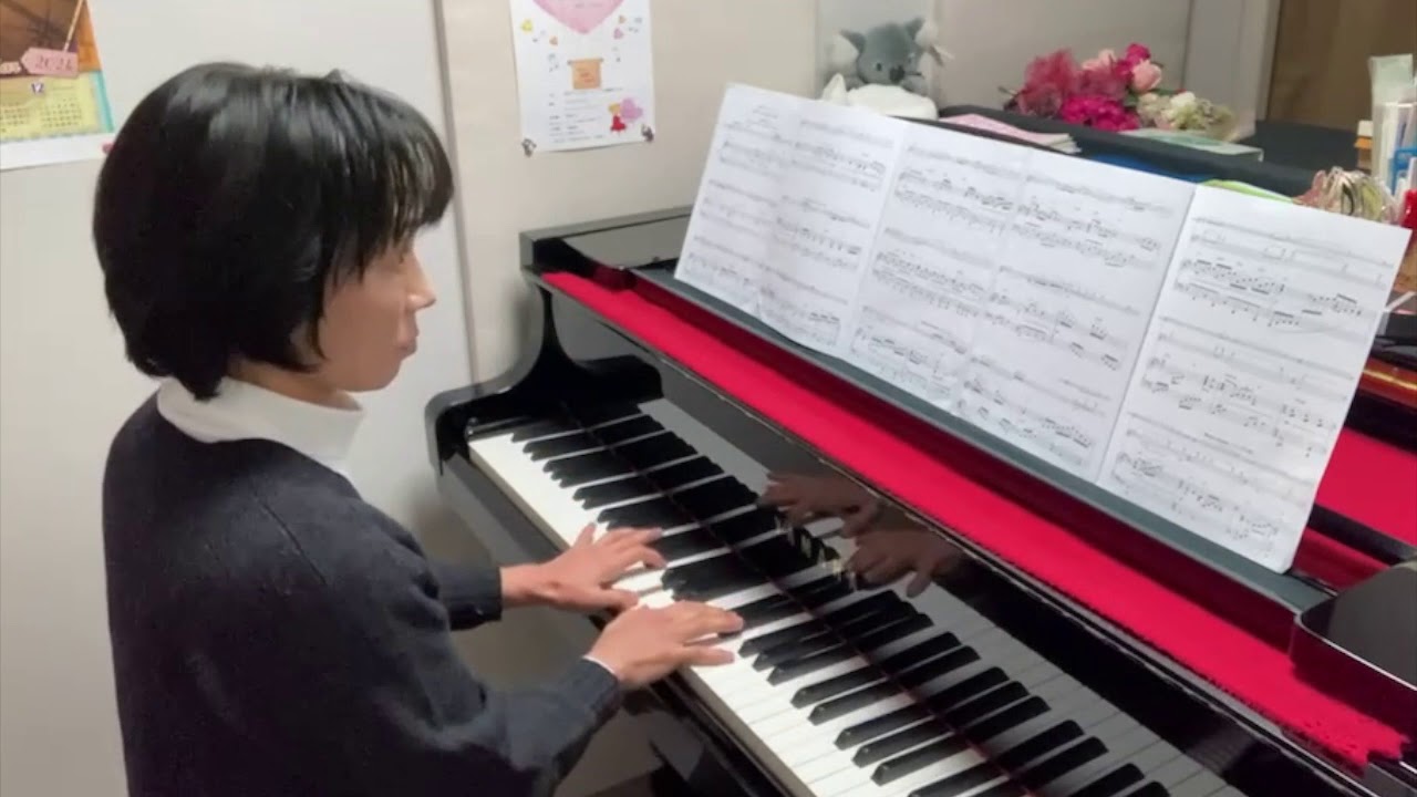 ガブリエルのオーボエ（二胡伴奏）