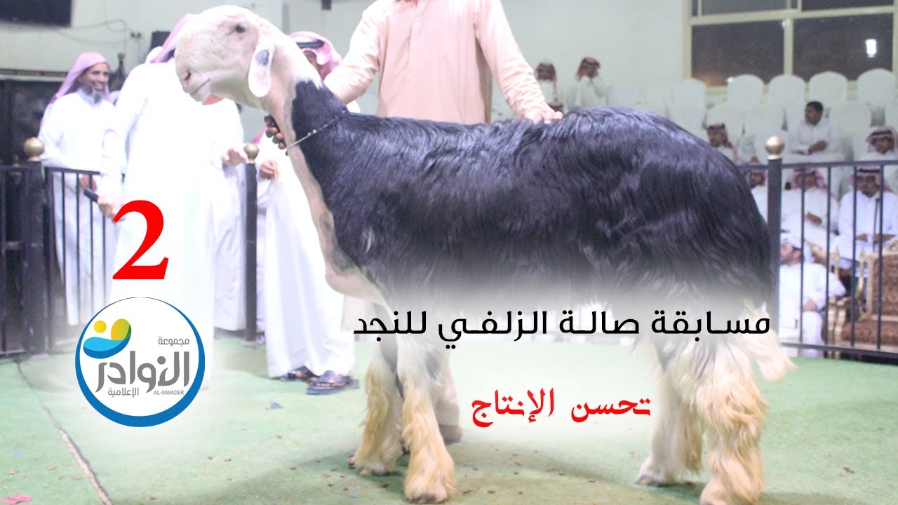 مسابقة صالة الزلفي للنجد عام 1445هجري (2)