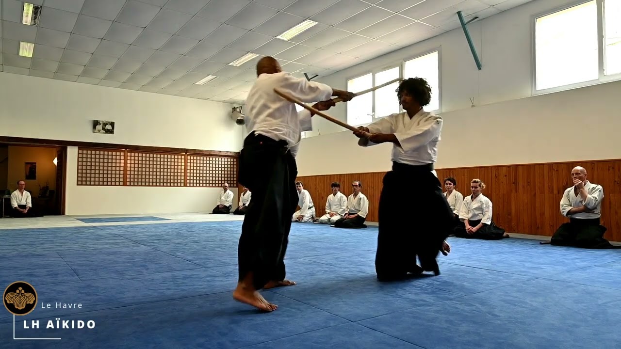 Aïkido : Mare Seye Shihan 6ème dan au Dojo VDB 1/3 : Kenjutsu (17 Mai 2025, 1ère partie)