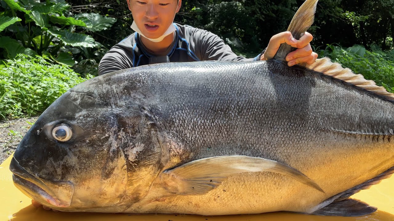 離島の堤防で釣り上げた28kgの巨大魚GTを豪快にかっ捌いて食らう【2021夏屋久島編 #4】