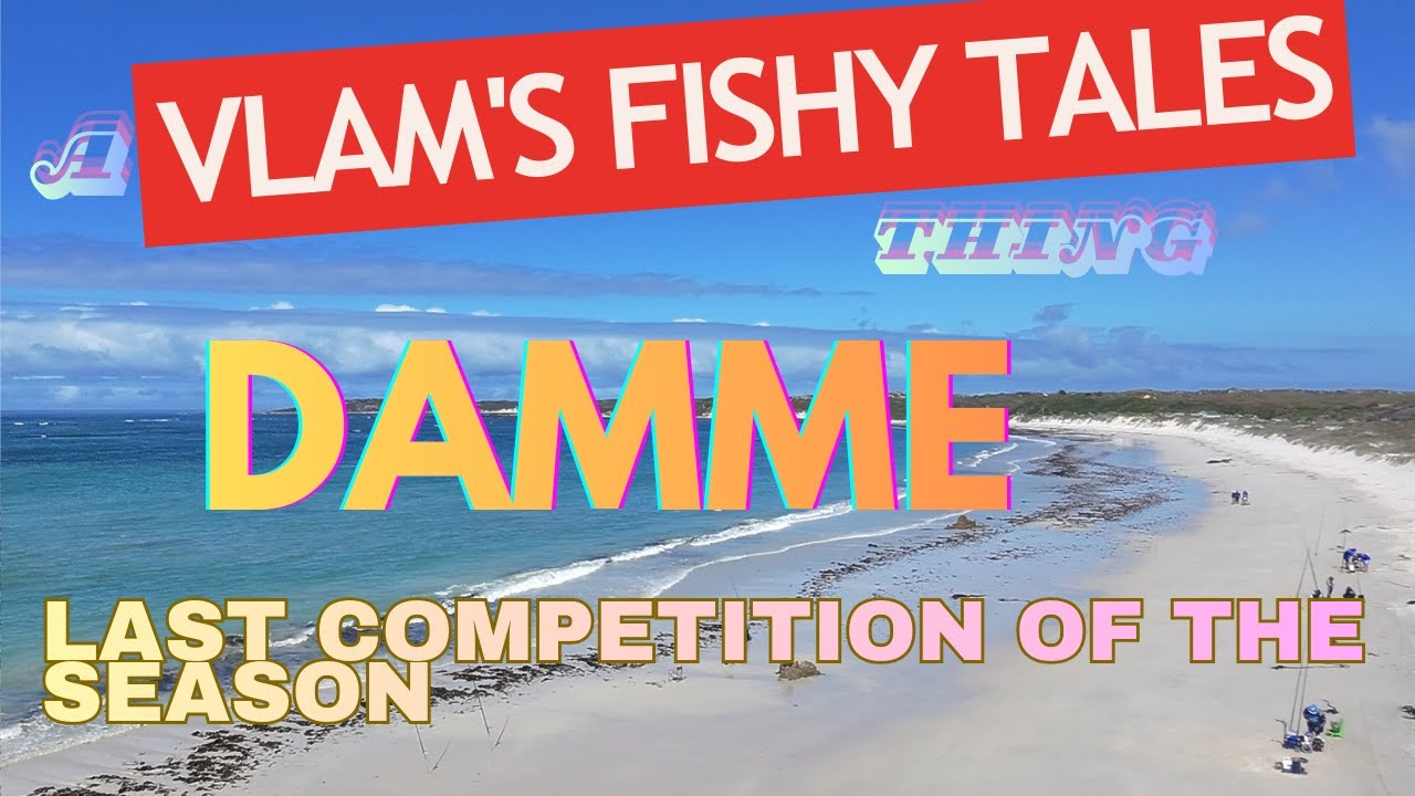 VFT - Damme