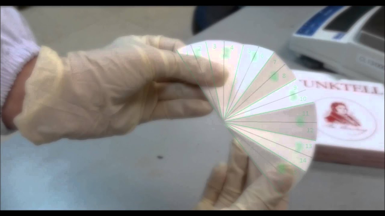 How to make 16 fold fluted filter  paper