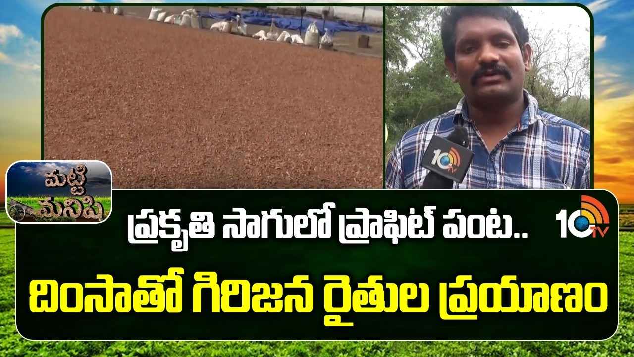 The Journey of Dhimsa Tribal Farmers | ప్రకృతి సాగులో ప్రాఫిట్ పంట.. దింసా గిరిజన రైతుల ప్రయాణం