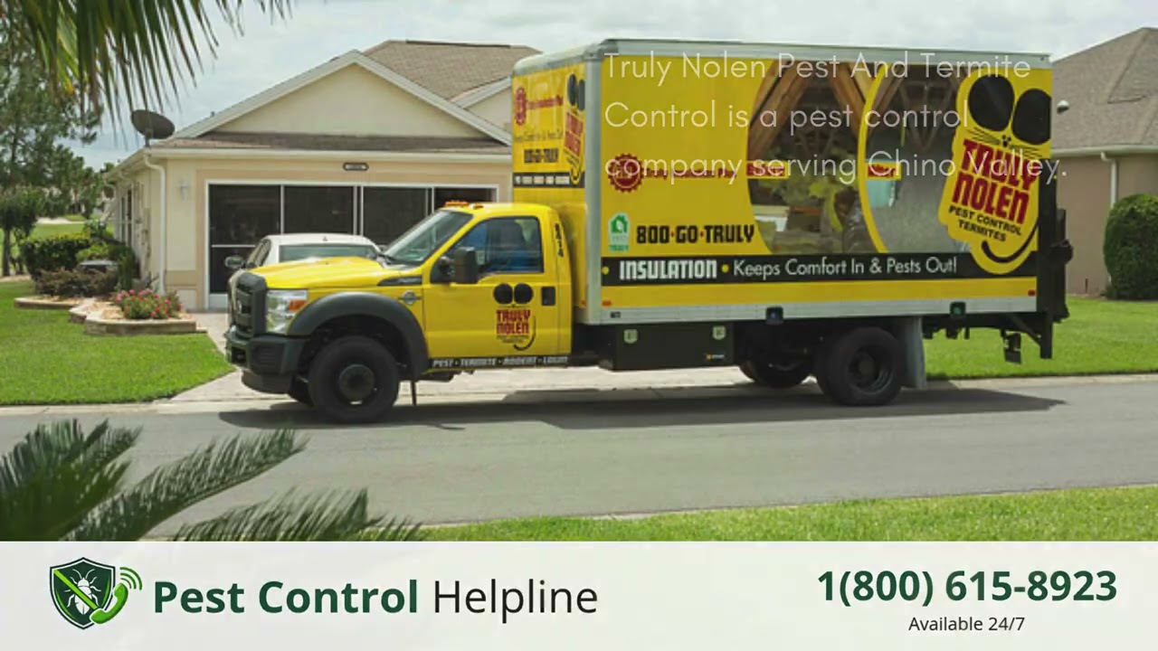 Top 3 Pest Control in Chino Valley