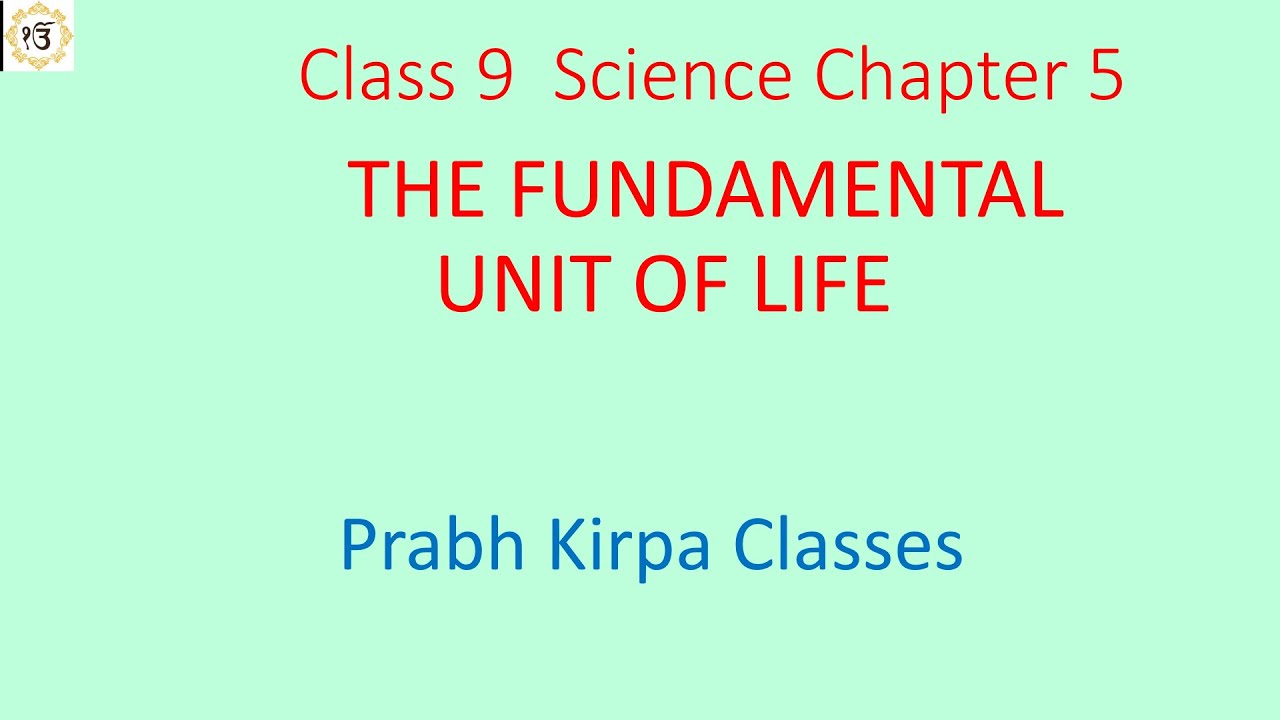 Imp.Q.11 Ch.5 The Fundamental Unit of Life Class 9 Science NCERT ATP