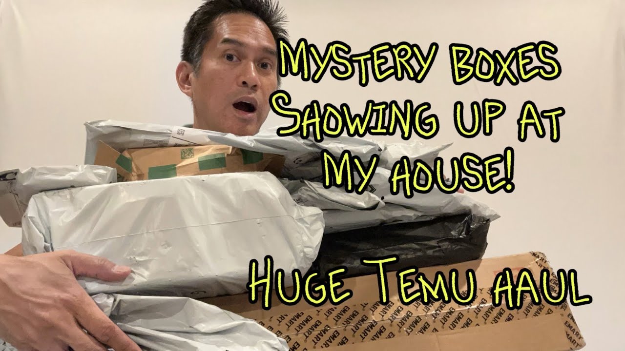 Amazing Temu Haul! | Product Demos | October 2024