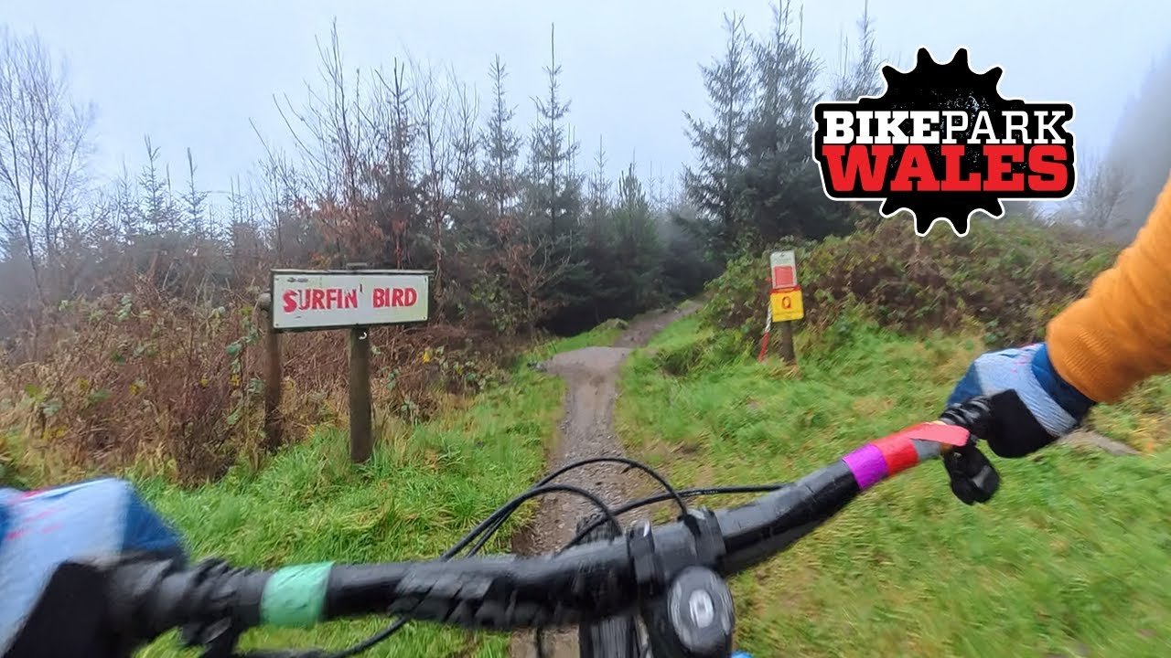 BikePark Wales: Surfin' Bird Full Send! | Flowy Red Tech Trail (Surfing Bird)