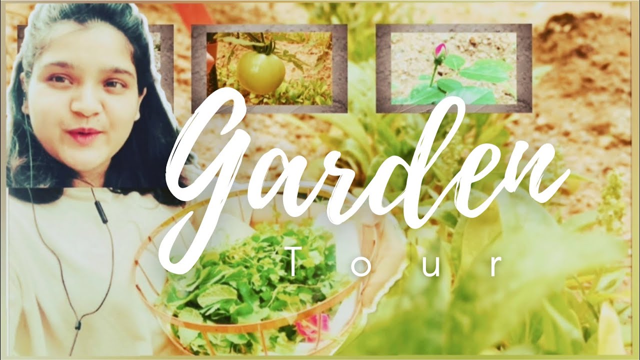 Garden Tour|| my simple Garden tour In Korea|| Marathi vlog no 06