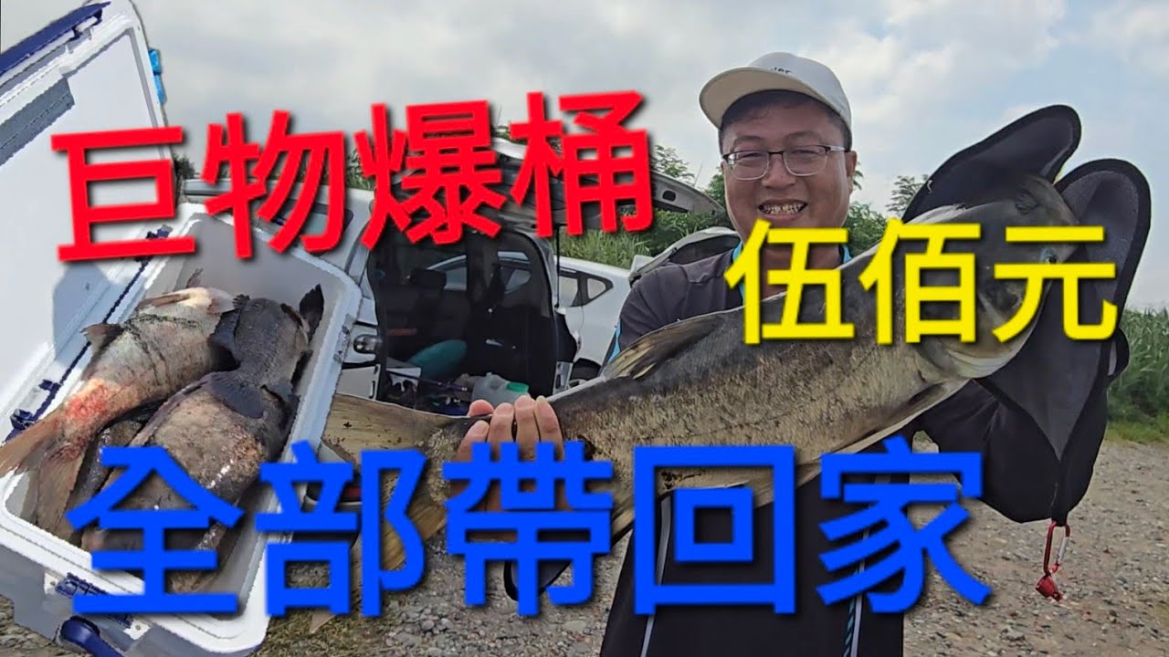 敬請注意，爆線及乾杯巨物重現，請勿前往，500元全部帶回去。 #文正水世界 Fishing  台湾の釣り 낚시 câucá Taiwan Fishing