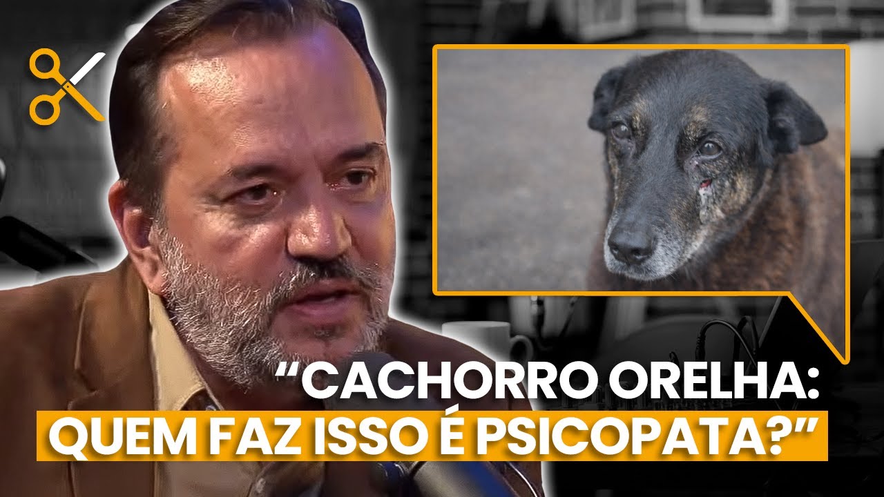 POR QUE TODO MUNDO SE ABALOU COM O CASO DO CACHORRO ORELHA?