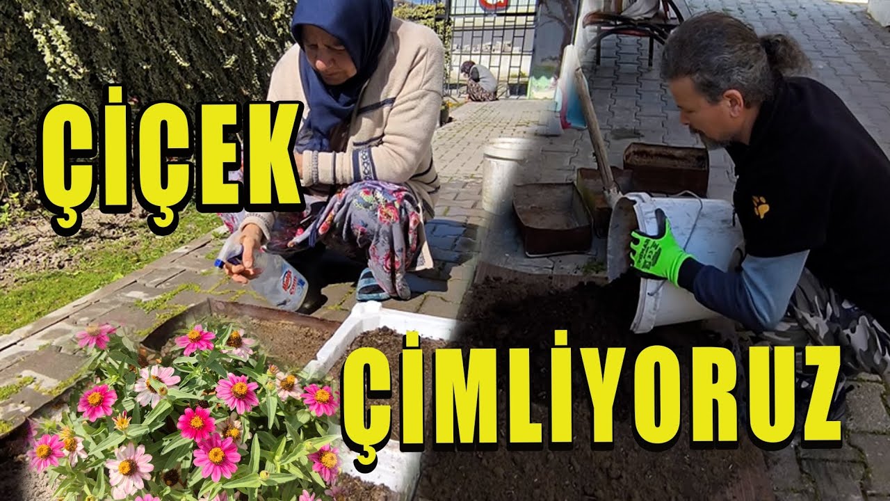 ÇİÇEK TOHUMU EKİYORUZ
