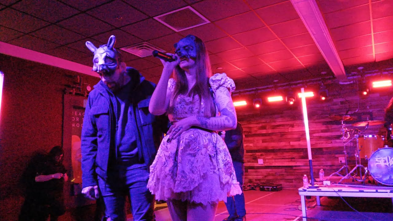 The Bunny The Bear Concert