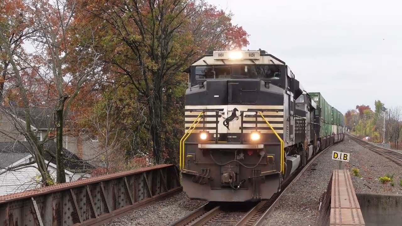 NJTransit, CSX, and NS trains Railfanning at Roselle Park