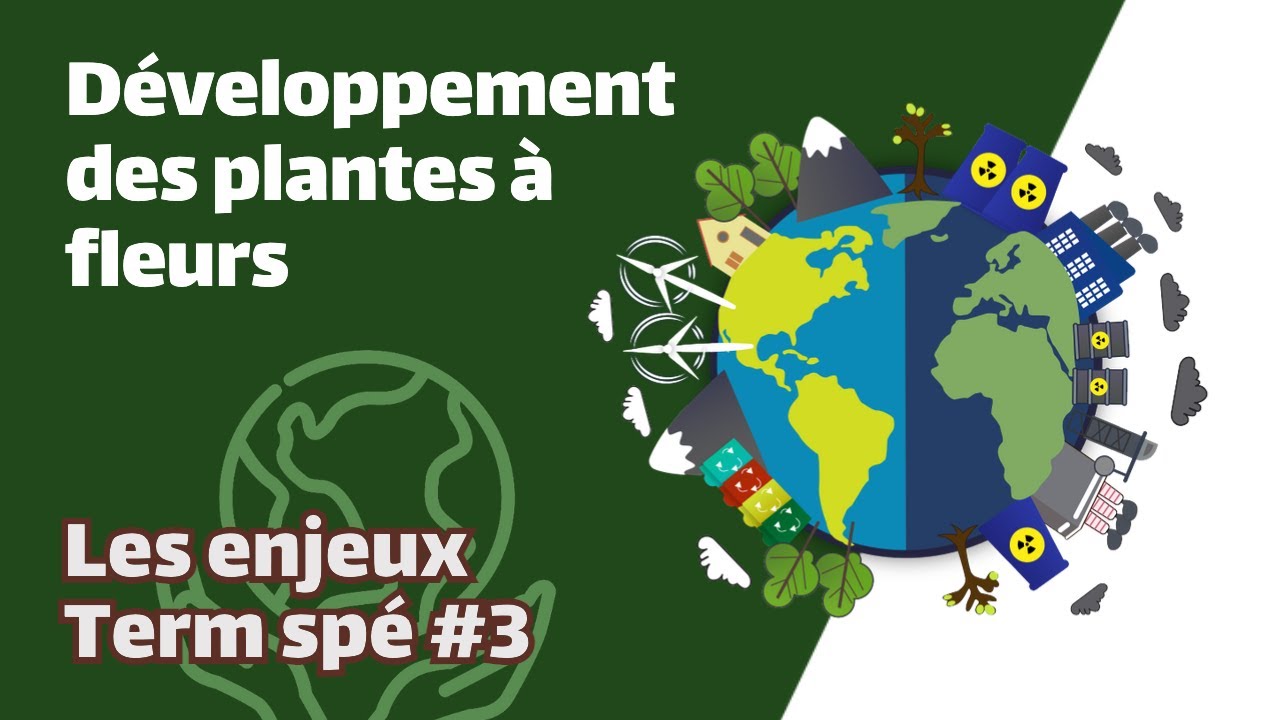 Développement des plantes à fleurs- SVT - ENJEUX Term spé #3 - Mathrix