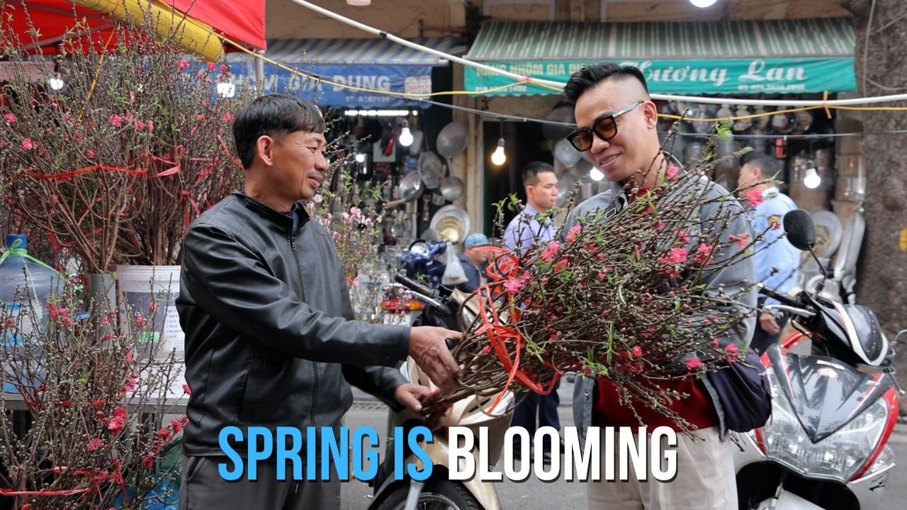 Spring is blooming | Sắc xuân trên chợ hoa Hàng Lược