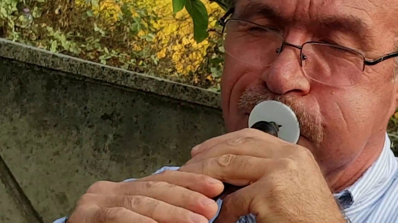 Mesudiye Dik Horon / ZURNACI Sait ve Davulcu Aydın