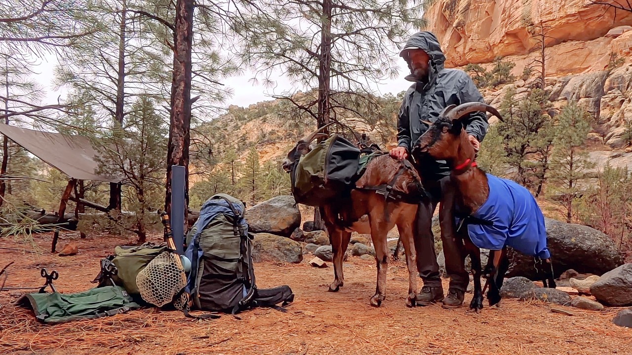 Pack Goats & Dogs Backpacking Stormy Desert Tarp Camping Firebox Stove BOX-POT One Pot Meals