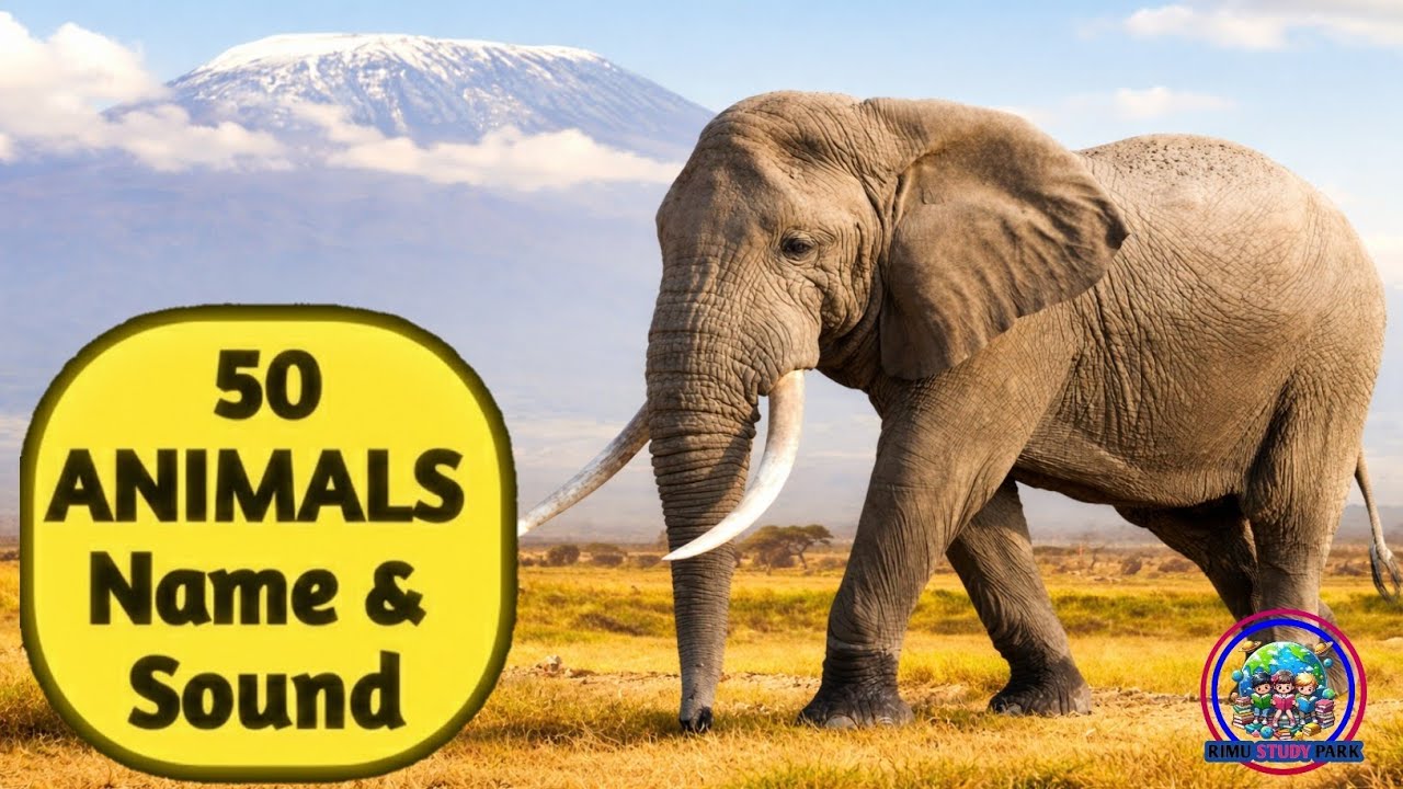 50 Animals Names & Sounds for Kids 🐶🐘 | Wild, Farm & Pet Animals Learning Video 🌍