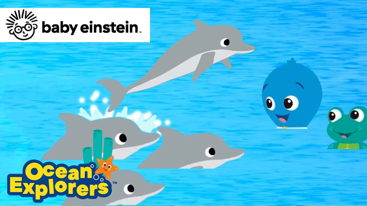 Problem Solving with Dolphins🐬 | Ocean Explorers Compilation | Baby Einstein | Learning Cartoon