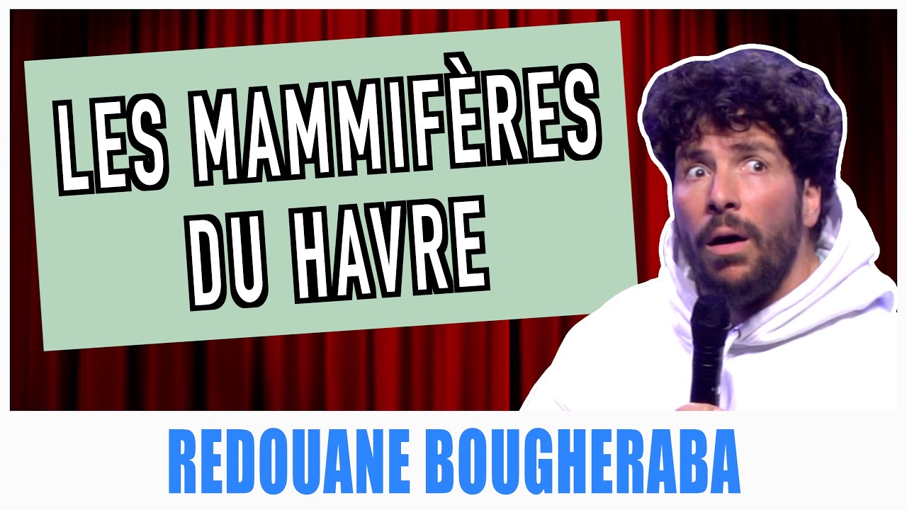 LES MAMMIFÈRES DU HAVRE - REDOUANE BOUGHERABA