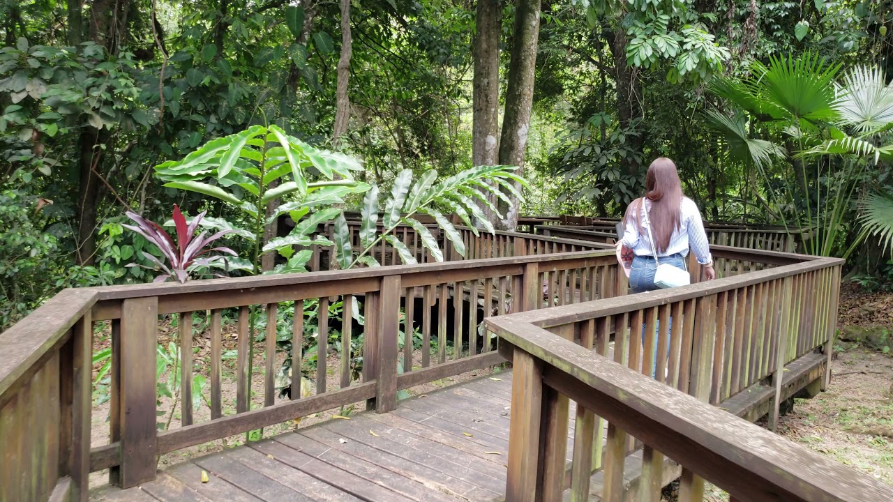 Lodge at Pico Bonito