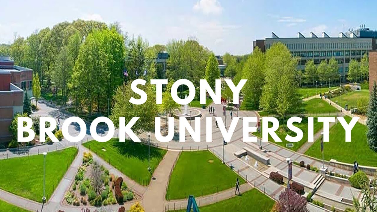 Stony Brook University | Overview of Stony Brook University