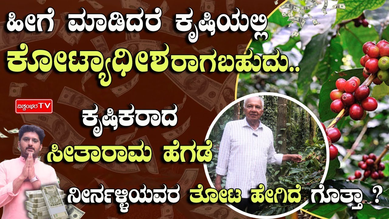 ಹೀಗೆ ಮಾಡಿದರೆ ಕೃಷಿಯಲ್ಲಿ ಕೋಟ್ಯಾಧೀಶರಾಗಬಹುದು | ಕೃಷಿಕರಾದ ಸೀತಾರಾಮ ಹೆಗಡೆ ನೀರ್ನಳ್ಳಿಯವರ ತೋಟ ಹೇಗಿದೆ ಗೊತ್ತಾ ?