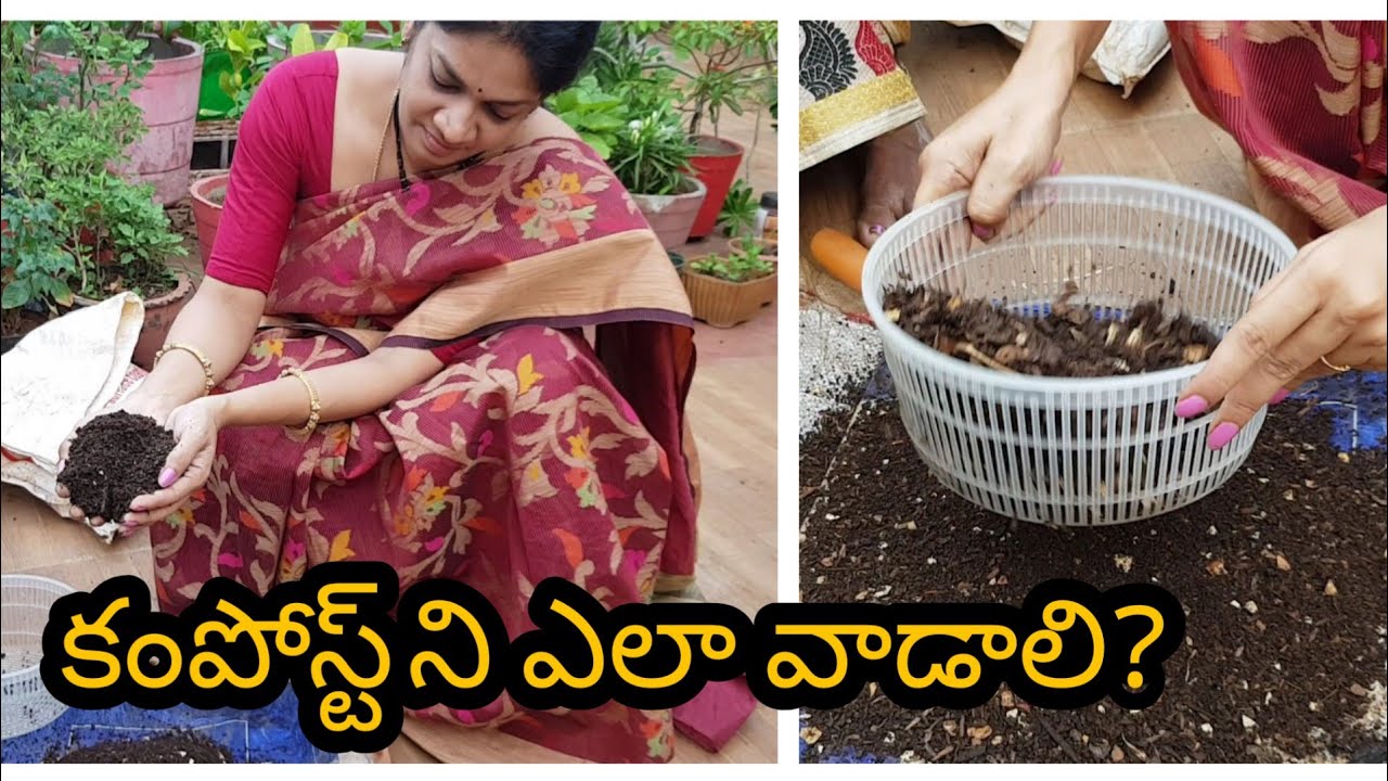 తయారైన కంపోస్ట్ ని ఎలాగ వాడి భద్రపరుచుకోవాలి?/How to use and preserve the prepared compost? #compost