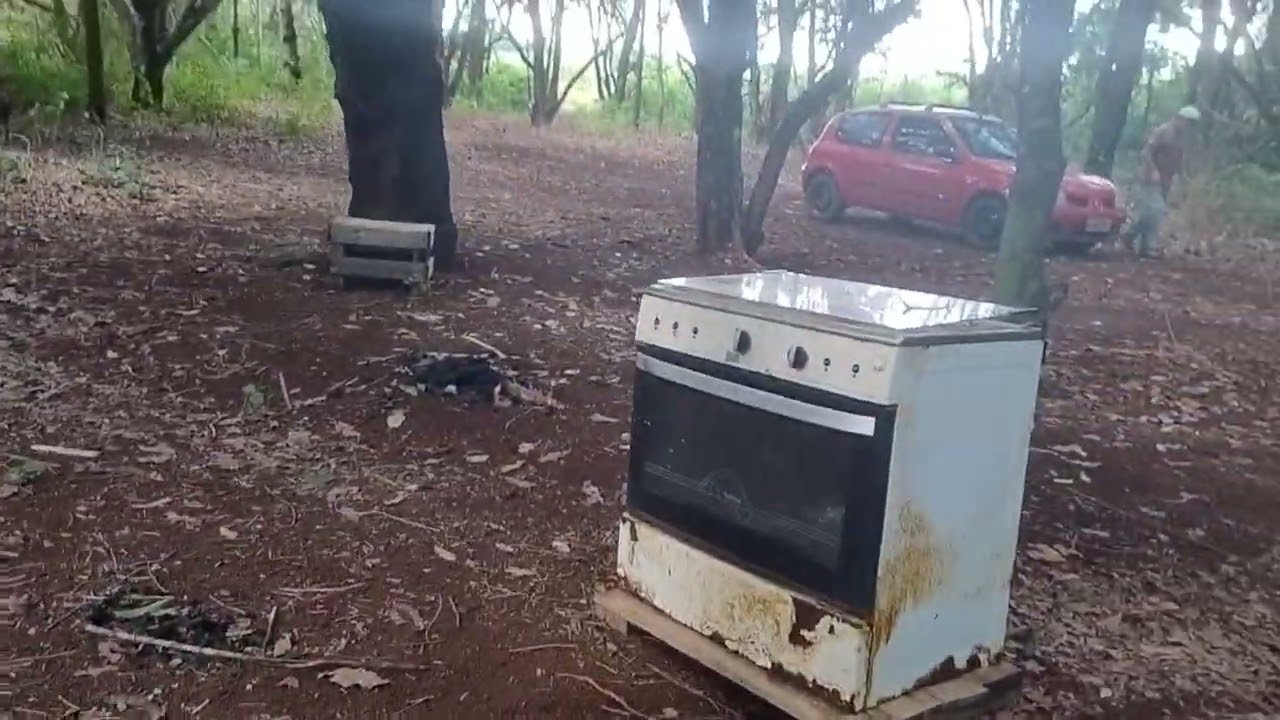 O grito de uma onça pintada tem que ter cuidado