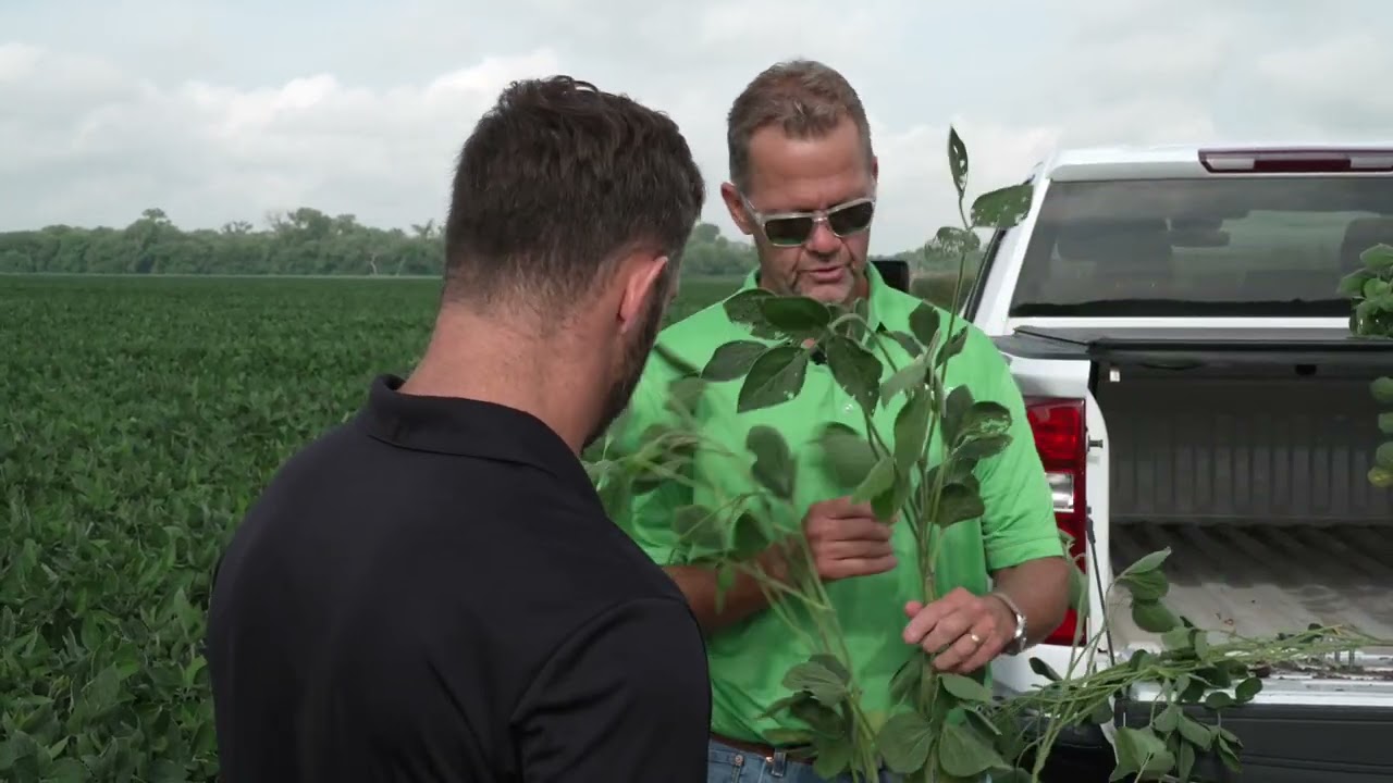 Protecting Soybeans for Greater Yield