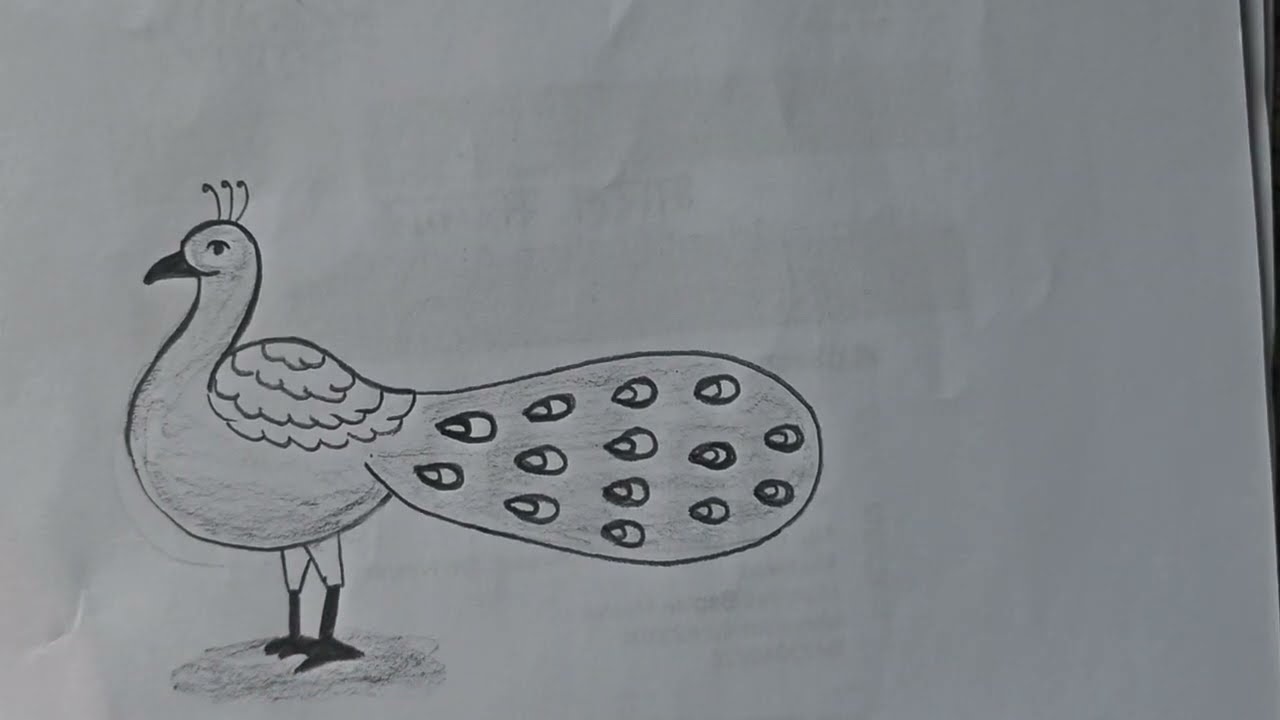 How to Draw Peacock 🦚/Drawing a  Peacock /Easy to Draw peacock #subscribe #viralvideo #youtubevideo 