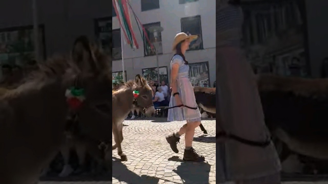 German ladki, gadhe 🫏 ke sath 🙃🤣🤣 #germany #travel #funny #donkey #parade #indiansingermany #indian