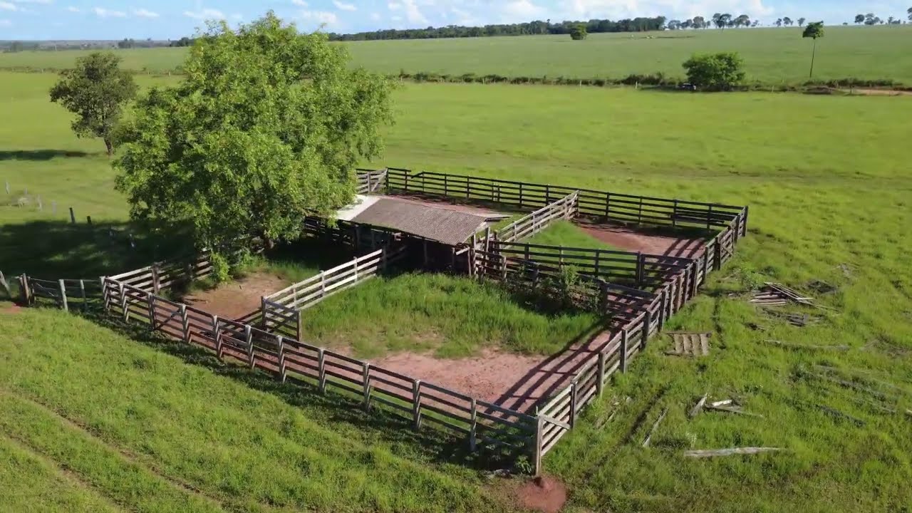 Eu não contava com isso