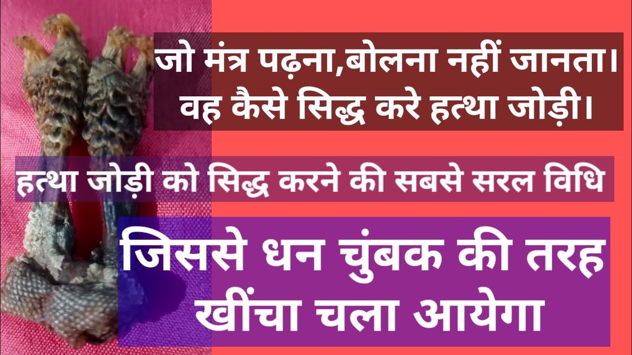 जानिये जिसे कुछ नहीं आता वह कैसे सिद्ध करे हत्था जोड़ी। इस सरल विधि से चुंबक की तरह खींचा आयेगा धन।