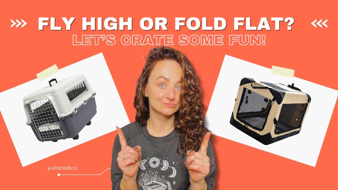 Top Dog Crates: Best for Flying & Collapsible for Easy Travel! 🐾✈️ #dogcrate