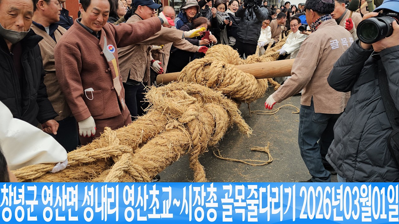 창녕군 영산면 성내리 영산초교~시장통 골목줄다리기  2026년03월01일 은하수TV