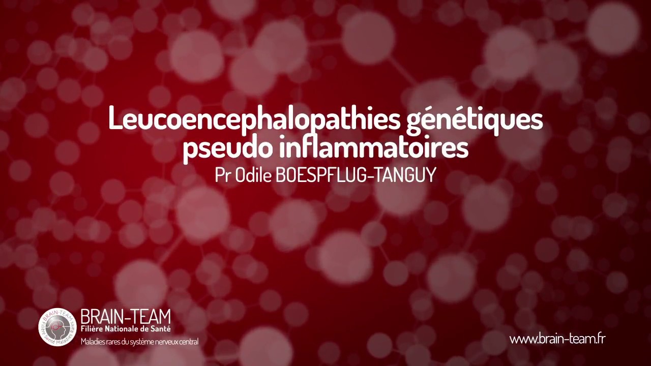 Leucoencephalopathies génétiques pseudo inflammatoires